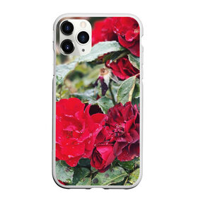 Чехол для iPhone 11 Pro Max матовый с принтом Red Roses , Силикон |  | Тематика изображения на принте: bush | floral | flower | garden | green | nature | red roses | бутоны | красная роза | куст | листья | природа | роза | сад | цветение | цветок | цветы