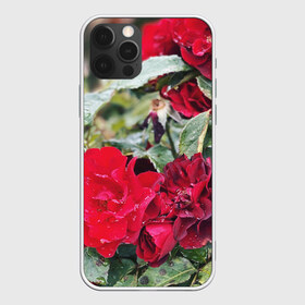 Чехол для iPhone 12 Pro Max с принтом Red Roses , Силикон |  | bush | floral | flower | garden | green | nature | red roses | бутоны | красная роза | куст | листья | природа | роза | сад | цветение | цветок | цветы