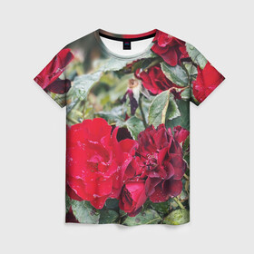 Женская футболка 3D с принтом Red Roses , 100% полиэфир ( синтетическое хлопкоподобное полотно) | прямой крой, круглый вырез горловины, длина до линии бедер | bush | floral | flower | garden | green | nature | red roses | бутоны | красная роза | куст | листья | природа | роза | сад | цветение | цветок | цветы