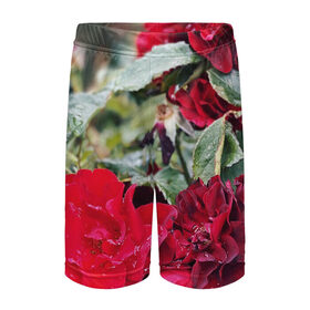 Детские спортивные шорты 3D с принтом Red Roses ,  100% полиэстер
 | пояс оформлен широкой мягкой резинкой, ткань тянется
 | bush | floral | flower | garden | green | nature | red roses | бутоны | красная роза | куст | листья | природа | роза | сад | цветение | цветок | цветы