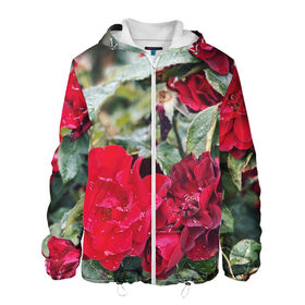 Мужская куртка 3D с принтом Red Roses , ткань верха — 100% полиэстер, подклад — флис | прямой крой, подол и капюшон оформлены резинкой с фиксаторами, два кармана без застежек по бокам, один большой потайной карман на груди. Карман на груди застегивается на липучку | Тематика изображения на принте: bush | floral | flower | garden | green | nature | red roses | бутоны | красная роза | куст | листья | природа | роза | сад | цветение | цветок | цветы