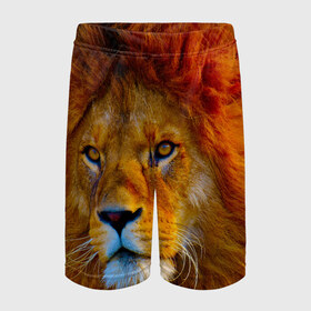 Детские спортивные шорты 3D с принтом Лев 3D ,  100% полиэстер
 | пояс оформлен широкой мягкой резинкой, ткань тянется
 | leon king | голова льва | король лев | лев | симба | хищник