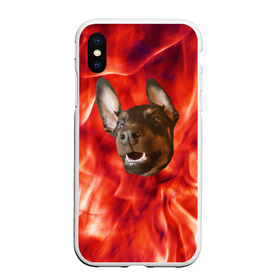 Чехол для iPhone XS Max матовый с принтом Огненый Пес , Силикон | Область печати: задняя сторона чехла, без боковых панелей | голова | горячий | горящий | доберман | животное | зверек | зверь | зубы | клык | красный | лицо | овчарка | огонь | пес | пламя | рот | ротвейлер | свет | собака | удивленный | улыбка | щенок