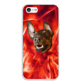 Чехол для iPhone 5/5S матовый с принтом Огненый Пес , Силикон | Область печати: задняя сторона чехла, без боковых панелей | голова | горячий | горящий | доберман | животное | зверек | зверь | зубы | клык | красный | лицо | овчарка | огонь | пес | пламя | рот | ротвейлер | свет | собака | удивленный | улыбка | щенок