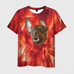 Мужская футболка 3D с принтом Огненый Пес , 100% полиэфир | прямой крой, круглый вырез горловины, длина до линии бедер | голова | горячий | горящий | доберман | животное | зверек | зверь | зубы | клык | красный | лицо | овчарка | огонь | пес | пламя | рот | ротвейлер | свет | собака | удивленный | улыбка | щенок