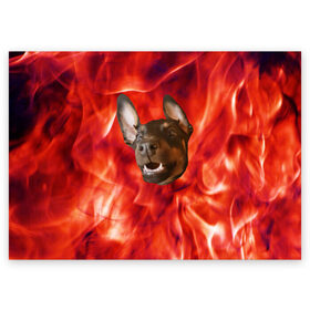 Поздравительная открытка с принтом Огненый Пес , 100% бумага | плотность бумаги 280 г/м2, матовая, на обратной стороне линовка и место для марки
 | Тематика изображения на принте: голова | горячий | горящий | доберман | животное | зверек | зверь | зубы | клык | красный | лицо | овчарка | огонь | пес | пламя | рот | ротвейлер | свет | собака | удивленный | улыбка | щенок
