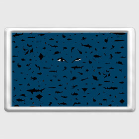 Магнит 45*70 с принтом Fish , Пластик | Размер: 78*52 мм; Размер печати: 70*45 | dolphin | fish | killer whale | see life | shark | акула | дельфин | касатка | морские обитатели | рыба