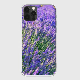 Чехол для iPhone 12 Pro Max с принтом Lavender field , Силикон |  | Тематика изображения на принте: field | green | lavender | nature | summer | violet | бутон | клумба. | лаванда | лето | лиловый | поле | сиреневый | фиолетовый | цветение | цветок | цветы