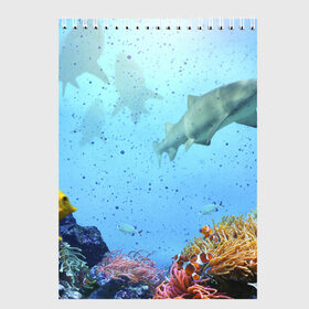 Скетчбук с принтом акулы , 100% бумага
 | 48 листов, плотность листов — 100 г/м2, плотность картонной обложки — 250 г/м2. Листы скреплены сверху удобной пружинной спиралью | Тематика изображения на принте: аквариум | акула | море | морской житель | океан