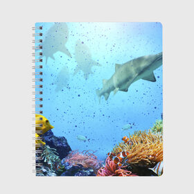 Тетрадь с принтом акулы , 100% бумага | 48 листов, плотность листов — 60 г/м2, плотность картонной обложки — 250 г/м2. Листы скреплены сбоку удобной пружинной спиралью. Уголки страниц и обложки скругленные. Цвет линий — светло-серый
 | Тематика изображения на принте: аквариум | акула | море | морской житель | океан