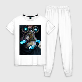 Женская пижама хлопок с принтом Cyberpunk ART NEON 1-0 , 100% хлопок | брюки и футболка прямого кроя, без карманов, на брюках мягкая резинка на поясе и по низу штанин | art | cyberpunk art | neon aesthetic | neon art | vaporwave art | киберпанк | цифровые файлы