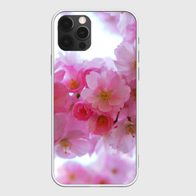 Чехол для iPhone 12 Pro Max с принтом Японская вишня , Силикон |  | вишни | вишня | дерево | деревья | природа | природный | растение | растения | флора | цветок | цветущая | цветущие | цветущий | цветы | японская | японские