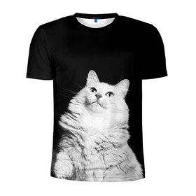 Мужская футболка 3D спортивная с принтом Игривая кошка , 100% полиэстер с улучшенными характеристиками | приталенный силуэт, круглая горловина, широкие плечи, сужается к линии бедра | 