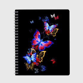 Тетрадь с принтом Поцелуй бабочек , 100% бумага | 48 листов, плотность листов — 60 г/м2, плотность картонной обложки — 250 г/м2. Листы скреплены сбоку удобной пружинной спиралью. Уголки страниц и обложки скругленные. Цвет линий — светло-серый
 | Тематика изображения на принте: angel | butterfly | fairy | neon | night | wings | ангел | бабочка | бабочки | девушке | животные | красочные | крылья | летающие | магия | махаон | мотыльки | насекомые | неоновые | ночные | ночь | подарок | природа