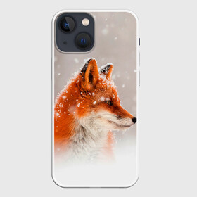Чехол для iPhone 13 mini с принтом Лиса и снег ,  |  | fox | foxy | животные | звери | зима | зимняя | лиса | лисичка | лисы | природа | снег | снежная