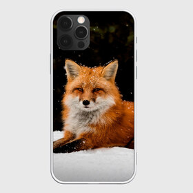 Чехол для iPhone 12 Pro Max с принтом Лиса и снег , Силикон |  | fox | foxy | животные | звери | зима | зимняя | лиса | лисичка | лисы | природа | снег | снежная