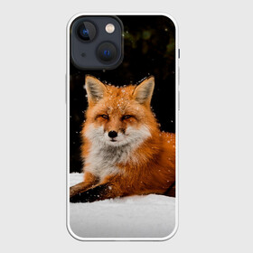 Чехол для iPhone 13 mini с принтом Лиса и снег ,  |  | fox | foxy | животные | звери | зима | зимняя | лиса | лисичка | лисы | природа | снег | снежная