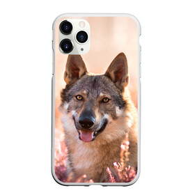 Чехол для iPhone 11 Pro Max матовый с принтом Красивый Волк , Силикон |  | wolf | wolfs | волк | волки | волчара | животные | звири | лес | природа