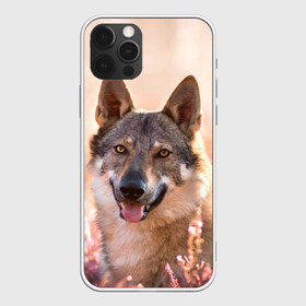 Чехол для iPhone 12 Pro Max с принтом Красивый Волк , Силикон |  | wolf | wolfs | волк | волки | волчара | животные | звири | лес | природа