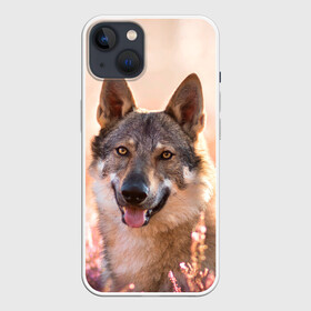 Чехол для iPhone 13 с принтом Красивый Волк ,  |  | Тематика изображения на принте: wolf | wolfs | волк | волки | волчара | животные | звири | лес | природа