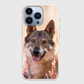 Чехол для iPhone 13 Pro с принтом Красивый Волк ,  |  | Тематика изображения на принте: wolf | wolfs | волк | волки | волчара | животные | звири | лес | природа