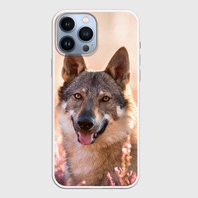 Чехол для iPhone 13 Pro Max с принтом Красивый Волк ,  |  | Тематика изображения на принте: wolf | wolfs | волк | волки | волчара | животные | звири | лес | природа