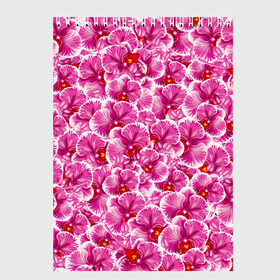 Скетчбук с принтом Розовые орхидеи , 100% бумага
 | 48 листов, плотность листов — 100 г/м2, плотность картонной обложки — 250 г/м2. Листы скреплены сверху удобной пружинной спиралью | fashion flowers | pink | tropical | азия | бабочки | бразилия | букет | бутоны | джунгли | лепестки | лето | любимая | марта | нежные | орхидея | подарок | природа | растения | тропики | тропические | узор | цветение