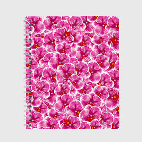 Тетрадь с принтом Розовые орхидеи , 100% бумага | 48 листов, плотность листов — 60 г/м2, плотность картонной обложки — 250 г/м2. Листы скреплены сбоку удобной пружинной спиралью. Уголки страниц и обложки скругленные. Цвет линий — светло-серый
 | Тематика изображения на принте: fashion flowers | pink | tropical | азия | бабочки | бразилия | букет | бутоны | джунгли | лепестки | лето | любимая | марта | нежные | орхидея | подарок | природа | растения | тропики | тропические | узор | цветение