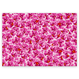 Поздравительная открытка с принтом Розовые орхидеи , 100% бумага | плотность бумаги 280 г/м2, матовая, на обратной стороне линовка и место для марки
 | fashion flowers | pink | tropical | азия | бабочки | бразилия | букет | бутоны | джунгли | лепестки | лето | любимая | марта | нежные | орхидея | подарок | природа | растения | тропики | тропические | узор | цветение