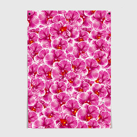 Постер с принтом Розовые орхидеи , 100% бумага
 | бумага, плотность 150 мг. Матовая, но за счет высокого коэффициента гладкости имеет небольшой блеск и дает на свету блики, но в отличии от глянцевой бумаги не покрыта лаком | fashion flowers | pink | tropical | азия | бабочки | бразилия | букет | бутоны | джунгли | лепестки | лето | любимая | марта | нежные | орхидея | подарок | природа | растения | тропики | тропические | узор | цветение