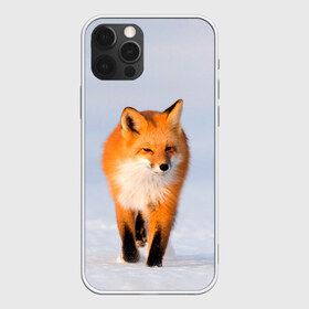 Чехол для iPhone 12 Pro Max с принтом FOX AND SNOW , Силикон |  | Тематика изображения на принте: fox | foxy | животные | звери | зима | зимняя | лиса | лисичка | лисы | природа | снег | снежная