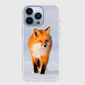 Чехол для iPhone 13 Pro с принтом FOX AND SNOW ,  |  | fox | foxy | животные | звери | зима | зимняя | лиса | лисичка | лисы | природа | снег | снежная