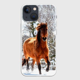 Чехол для iPhone 13 mini с принтом Конь и снег ,  |  | животные | звери | зима | кони | конь | коняшка | лошади | лошадка | лошадь | пони | природа | снег