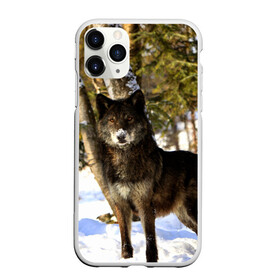 Чехол для iPhone 11 Pro Max матовый с принтом Волк и снег , Силикон |  | wolf | wolfs | волк | волки | волчара | животные | звири | зима | лес | природа | снег