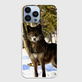 Чехол для iPhone 13 Pro Max с принтом Волк и снег ,  |  | Тематика изображения на принте: wolf | wolfs | волк | волки | волчара | животные | звири | зима | лес | природа | снег