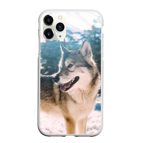 Чехол для iPhone 11 Pro Max матовый с принтом Волк и снег , Силикон |  | wolf | wolfs | волк | волки | волчара | животные | звери | зима | лес | природа | снег