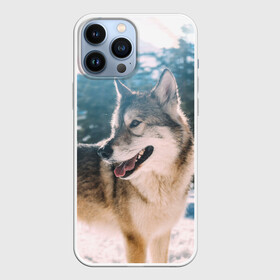 Чехол для iPhone 13 Pro Max с принтом Волк и снег ,  |  | Тематика изображения на принте: wolf | wolfs | волк | волки | волчара | животные | звери | зима | лес | природа | снег