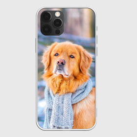 Чехол для iPhone 12 Pro Max с принтом Золотистый Ретривер , Силикон |  | Тематика изображения на принте: dog | животные | золотистый | золотой | пес | природа | ретривер | собака | собаки | собакчка | собачки