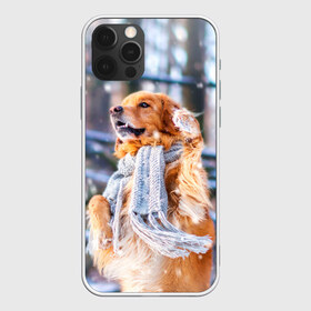 Чехол для iPhone 12 Pro Max с принтом Золотистый Ретривер , Силикон |  | Тематика изображения на принте: dog | животные | золотистый | золотой | пес | природа | ретривер | собака | собаки | собакчка | собачки
