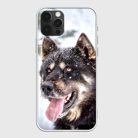 Чехол для iPhone 12 Pro Max с принтом Сибирский Хаски , Силикон |  | dog | животные | зима | пес | природа | сибирский | снег | собака | собаки | собакчка | собачки | хаски