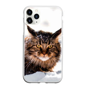 Чехол для iPhone 11 Pro Max матовый с принтом Кот в снегу , Силикон |  | cat | животные | звири | кис | киска | кот | котейка | котик | коты | котяра | кошка | кошки | природа