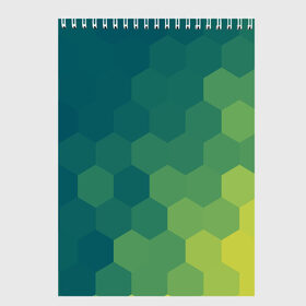 Скетчбук с принтом Hexagon , 100% бумага
 | 48 листов, плотность листов — 100 г/м2, плотность картонной обложки — 250 г/м2. Листы скреплены сверху удобной пружинной спиралью | орнамент | текстуры | узор | шестиугольник