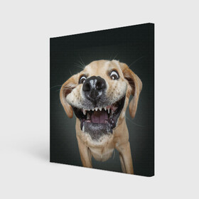 Холст квадратный с принтом Улыбающаяся Собака , 100% ПВХ |  | dog | зубы | лапы | мем | пес | прикол | слюни | смешные животные | собака | собачка | улыбающаяся собака | улыбка | щенок | юмор | язык