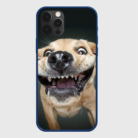 Чехол для iPhone 12 Pro с принтом Улыбающаяся Собака , силикон | область печати: задняя сторона чехла, без боковых панелей | dog | зубы | лапы | мем | пес | прикол | слюни | смешные животные | собака | собачка | улыбающаяся собака | улыбка | щенок | юмор | язык