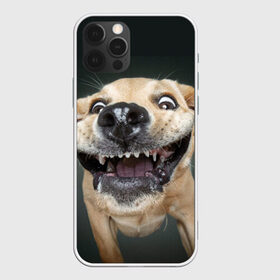 Чехол для iPhone 12 Pro Max с принтом Улыбающаяся Собака , Силикон |  | Тематика изображения на принте: dog | зубы | лапы | мем | пес | прикол | слюни | смешные животные | собака | собачка | улыбающаяся собака | улыбка | щенок | юмор | язык