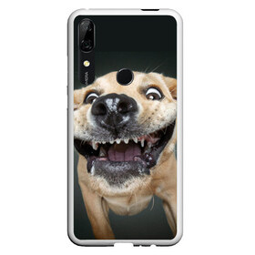 Чехол для Honor P Smart Z с принтом Улыбающаяся Собака , Силикон | Область печати: задняя сторона чехла, без боковых панелей | Тематика изображения на принте: dog | зубы | лапы | мем | пес | прикол | слюни | смешные животные | собака | собачка | улыбающаяся собака | улыбка | щенок | юмор | язык