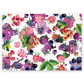 Поздравительная открытка с принтом Ягоды , 100% бумага | плотность бумаги 280 г/м2, матовая, на обратной стороне линовка и место для марки
 | арт | зеленый | краска | краски | красный | листок | листья | малина | пятна | пятна краски | растение | рисунок | синий | тёмный | фиолетовый | чёрная малина | черника