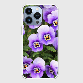 Чехол для iPhone 13 Pro с принтом Анютины глазки ,  |  | flowers | анютины глазки | природа | природный | растение | растения | цветок | цветочек | цветочки | цветы