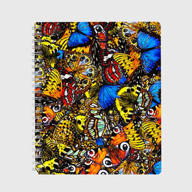 Тетрадь с принтом Ночные Бабочки , 100% бумага | 48 листов, плотность листов — 60 г/м2, плотность картонной обложки — 250 г/м2. Листы скреплены сбоку удобной пружинной спиралью. Уголки страниц и обложки скругленные. Цвет линий — светло-серый
 | animals | butterfly | pattern | акварель | бабочка | бабочки | животные | крылышки | крылья | насекомые | ночные бабочки | паттерн | рисунок | тропические бабочки | цветные бабочки