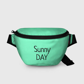 Поясная сумка 3D с принтом футболка Sunny DAY , 100% полиэстер | плотная ткань, ремень с регулируемой длиной, внутри несколько карманов для мелочей, основное отделение и карман с обратной стороны сумки застегиваются на молнию | summer